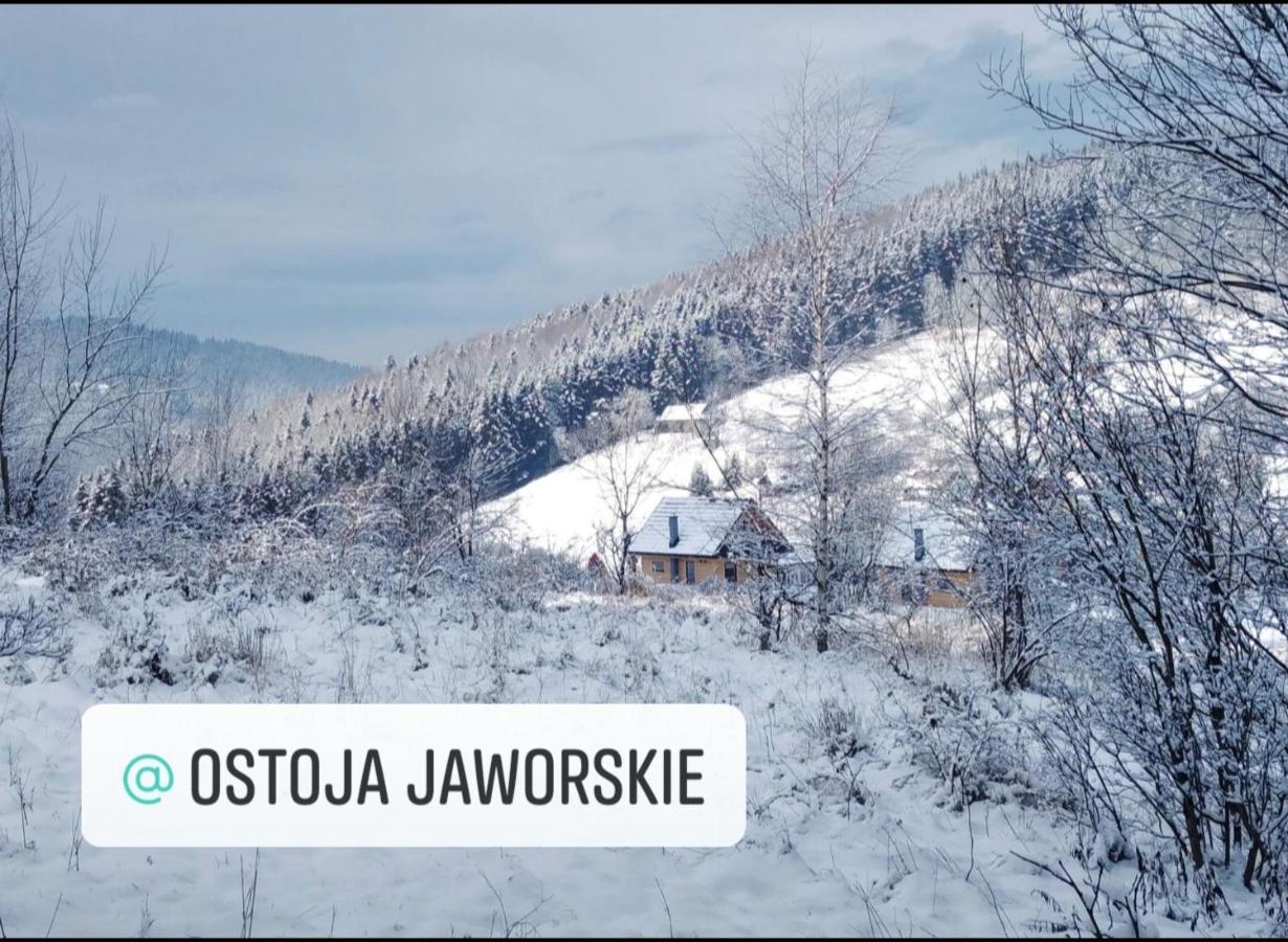 Ostoja Jaworskie Stryszawa Exterior photo
